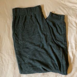 Aerie softest sleep plush joggers!